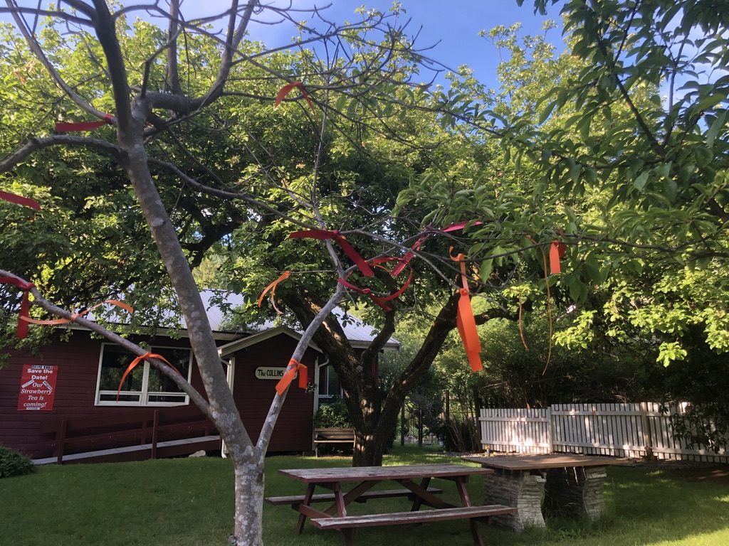 215 orange and red ribbons hang at Bowen Island United Church