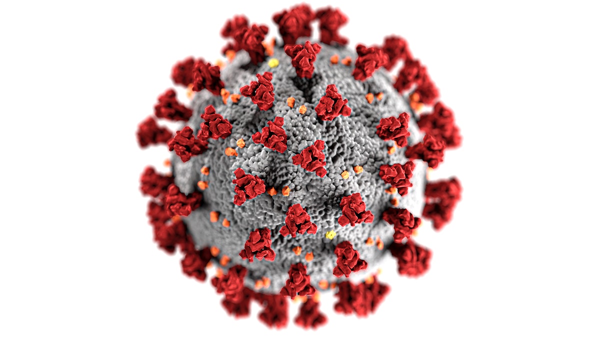 Ultrastructural morphology shown by coronavirus. Original image sourced from US Government department: Public Health Image Library, Centers for Disease Control and Prevention. Under US law this image is copyright free, please credit the government department whenever you can”.